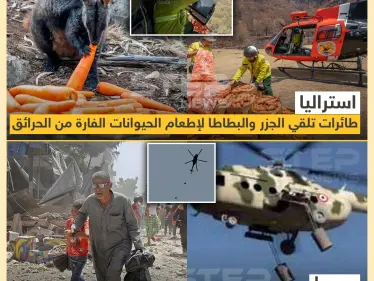 الفرق في استخدام الطيران بين سوريا و استراليا - وكالة ستيب نيوز