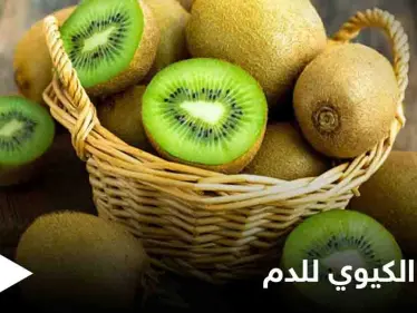 تعرف على فوائد الكيوي للدم ودوره في الحماية من أمراض عدة - وكالة ستيب نيوز