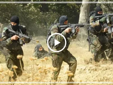 مسرّب|| مدني من رأس العين يتحدّث عن اعتداءات عناصر "الجيش الوطني" على النساء!! - وكالة ستيب نيوز