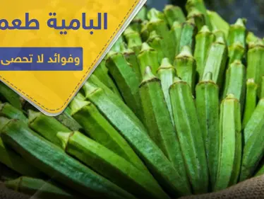 غير مذاقها الرائع.. هناك 10 فوائد للبامية أهمها تنظيف الرئتين وضبط السكر.. - وكالة ستيب نيوز