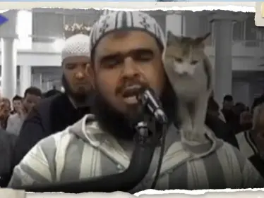 دار الإفتاء الروسية تعلق على حادثة الإمام الجزائري والقطة.. ماذا قالت - وكالة ستيب نيوز