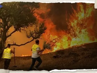 الدرك الوطني الجزائري يعتقل المتسبب في حرائق عش الباز بولاية بجاية - وكالة ستيب نيوز