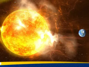 "الطائر الغامض" فوق الشمس يعود للظهور.. ما قصته؟ - وكالة ستيب نيوز