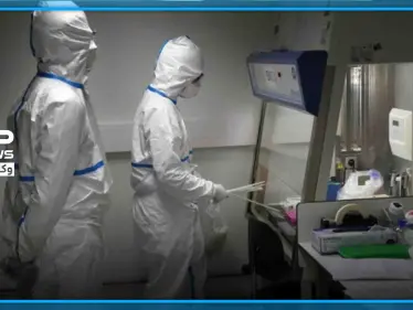 علماء يحذرون من كورونا على أنه موسمي.. و"مناعة القطيع" غير فعالة في مواجهته - وكالة ستيب نيوز