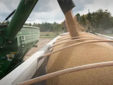 الغذاء والوقود.. جبهة الحرب الاقتصادية الجديدة بين واشنطن وبكين - وكالة ستيب نيوز