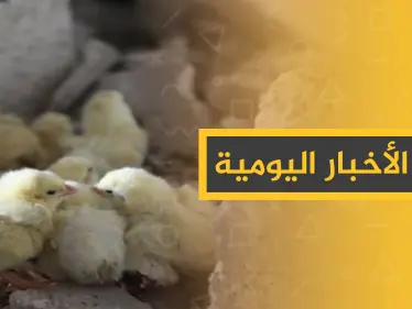 نشرة الأخبار اليومية  – الأحد 08 - 12 - 2019 - وكالة ستيب نيوز