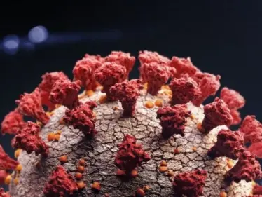 علماء ينشرون أول صورة كبيرة لمتحور أوميكرون بعد عزله - وكالة ستيب نيوز