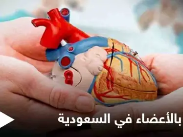 أصداء مبادرة العاهل السعودي وولي عهده إلى التسجيل في برنامج التبرع بالأعضاء تدفع المئات لاتباع الخطوة ذاتها - وكالة ستيب نيوز