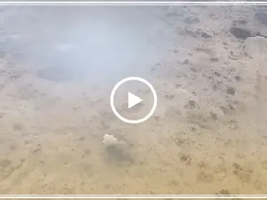 هكذا أحرقت تحرير الشام والتركستان آليات النظام السوري على محور الكبينة (تصوير جوي) - وكالة ستيب نيوز