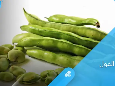 تعرف على أهم أنواع الفواكه الممنوعة لمرضى أنيميا الفول - وكالة ستيب نيوز