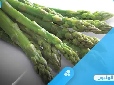 فوائد الهليون لهشاشة العظام والمرأة الحامل والرشاقة إليك أهم المعلومات - وكالة ستيب نيوز