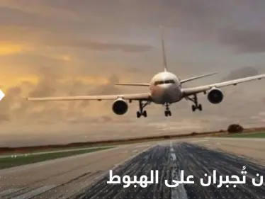 طائرتان تُجبران على الهبوط اضطرارياً بسبب الطيور ونوع من الفاكهة - وكالة ستيب نيوز