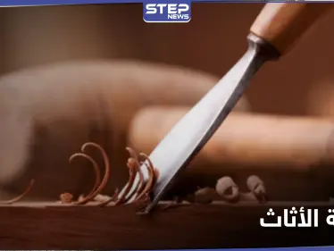 زراعة الأثاث بدل تصنيعه.. دراسة علمية تبدأ تجاربها في المختبرات - وكالة ستيب نيوز