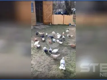 بالفيديو|| هواية 