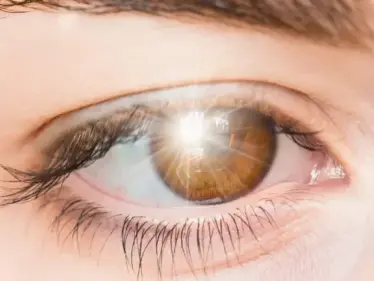 دراسة لا تصدق.. لون نراه لكنه غير موجود بالحياة وعلماء يؤكدون "إنه مجرد خدعة" - وكالة ستيب نيوز