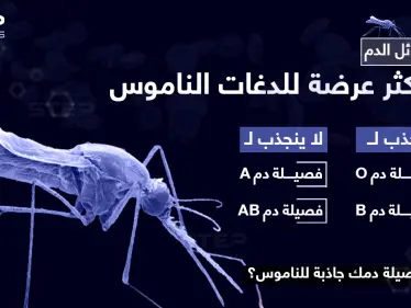 تعرف على فصائل الدم الأكثر عرضة للدغات الناموس .. هل زمرة دمك منهم ؟ - وكالة ستيب نيوز