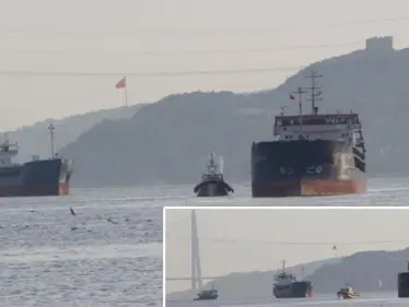 شاهد|| اصطدام سفينتين تركية وروسية في مضيق البوسفور - وكالة ستيب نيوز