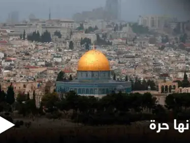 "غرد كأنها حرة" صورٌ من الحياة في فلسطين وأرجائها الحرة يطلقها رواد مواقع التواصل - وكالة ستيب نيوز