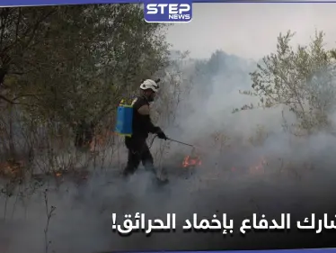 "الخوذ البيضاء" تعرض المساعدة بإخماد حرائق الساحل السوري.. إليك ردود الفعل المتبانية والهدف من البيان - وكالة ستيب نيوز