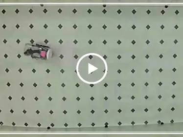 فئران تقود سيارات خاصة في أمريكا "فيديو" - وكالة ستيب نيوز