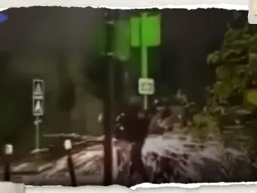 بالفيديو|| نهاية "مأساوية" لرجل فرنسي حاول كسر عامود كهرباء خلال الاحتجاجات - وكالة ستيب نيوز