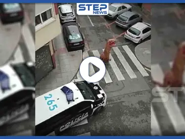 بالفيديو|| سر ظهور ديناصور في "ميرسة" الإسبانية وعلاقته بـ"كورونا" - وكالة ستيب نيوز