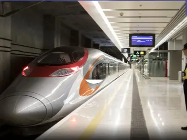 الأغنام والخنازير تغزو أحد القطارات البطيئة في الصين وتسافر جنباً إلى جنب مع الركاب (فيديو) - وكالة ستيب نيوز