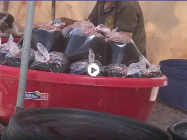 أجواء رمضان في مدينة الحسكة شمال شرق سوريا - وكالة ستيب نيوز