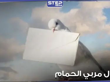 النظام السوري يعتقل عدداً من مربي الحمام بتدمر بتهمة خلق قنوات اتصال مع "داعش" - وكالة ستيب نيوز