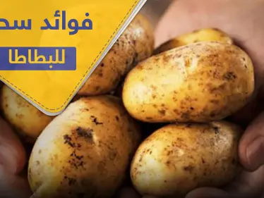 البطاطا.. 4 فوائد سحرية منها تخفيف الوزن - وكالة ستيب نيوز
