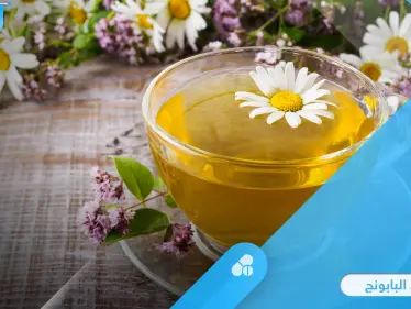 فوائد البابونج للقلب والأكزيما وأمراض أخرى.. وخطورته على فئة معينة تعرف عليها - وكالة ستيب نيوز