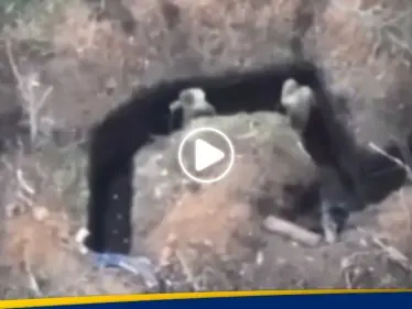 شاهد ما فعلته مسيرة روسية بجنديين أوكرانيين داخل خندق.. وكيف دمرت قوات بوتين دبابة سويدية - وكالة ستيب نيوز