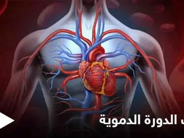 8 علامات وأعراض لضعف الدورة الدموية وأثرها على عمل الكلى وأعضاء أخرى - وكالة ستيب نيوز