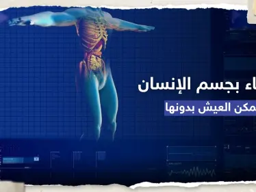 10 أعضاء يمكن للإنسان أن يعيش بدونها.. تقرير طبي جديد - وكالة ستيب نيوز