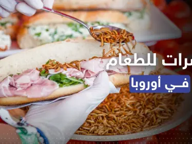 صراصير المنزل واليرقات باتت مسموحة كمصدر للغذاء في الاتحاد الأوروبي - وكالة ستيب نيوز