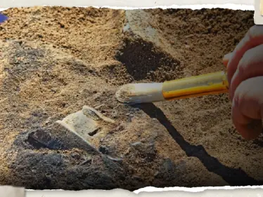 هل كان البشر يأكلون بعضهم.. اكتشاف علمي "صادم" يغير فرضيات قديمة - وكالة ستيب نيوز