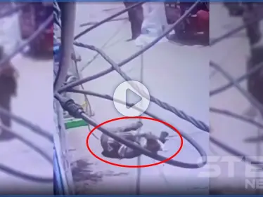 بالفيديو|| سقط طفلها من بين يديها.. امرأة تلقى حتفها في مخيم شاتيلا برصاص تجار المخدرات - وكالة ستيب نيوز