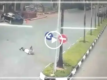 مشهد يحبس الأنفاس.. امرأة تتعرض أثناء ركضها بأحد الشوارع لحادث سير قاسٍ (فيديو) - وكالة ستيب نيوز