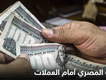 ارتفاع كبير للعملات العربية أمام الجنيه المصري.. الدينار الكويتي الأعلى - وكالة ستيب نيوز
