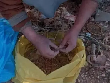 شاهد بالصور|| تنظيف المقابر من السحر والشعوذة في دولة عربية.. ومنع النساء من دخولها - وكالة ستيب نيوز