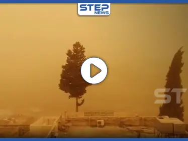 بالفيديو|| الأعنف والأكثر قوة.. عاصفة "التنين" تقتلع الأشجار بالأردن من جذورها وتتجه صوب هذه الدولة - وكالة ستيب نيوز