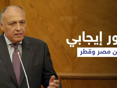 وزير الخارجية المصري يشير إلى 