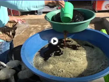 أجواء رمضان في بلدة قاح شمال إدلب - وكالة ستيب نيوز