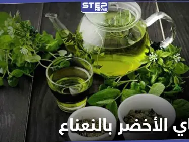 ما هي فوائد الشاي الأخضر والنعناع .. هذا ما يحدث في أجسادنا عند تناولها - وكالة ستيب نيوز