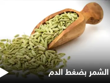 ما هو الشمر وكيف يساعدنا على التحكم بارتفاع وهبوط ضغط الدم تعرّف على التفاصيل - وكالة ستيب نيوز