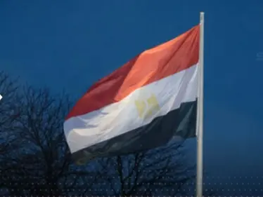 مصر تصدر بياناً بشأن "لحوم محقونة بهرمونات محظورة في البلاد" - وكالة ستيب نيوز