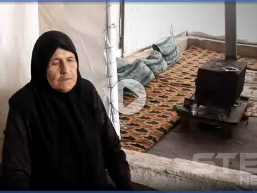 قصة "الحاجة كردية".. حملت على عاتقها سبعة أيتام وسبعون عاماً من الألم - وكالة ستيب نيوز