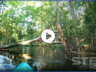 بأعجوبة رجل ينجو من فكّي تمساح هاجم قاربه وكاميرا مثبته على القارب توثق الحادثة - وكالة ستيب نيوز