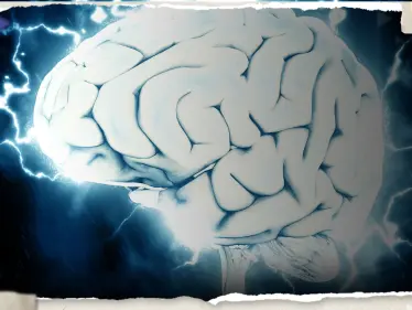 كيف يتعلم الدماغ أشياء جديدة.. علماء أعصاب يجيبون - وكالة ستيب نيوز