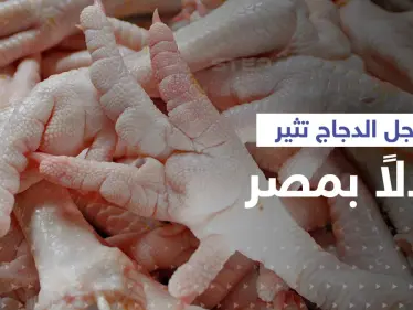 "أرجل الدجاج" تثير جدلاً كبيراً في مصر.. الحكومة تُعلّق بعد غضب شعبي - وكالة ستيب نيوز